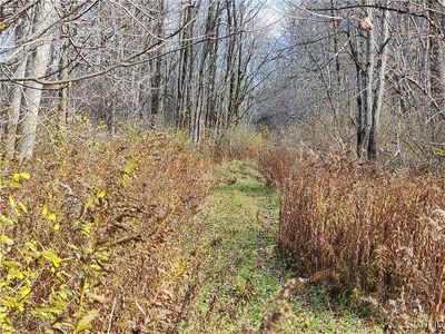 Route 294 #35, Boonville, NY, 13309