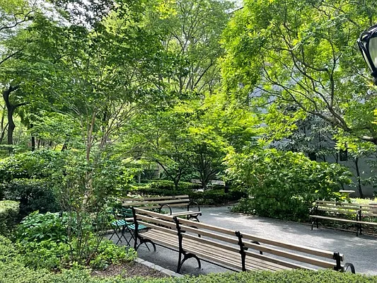 Rented by Compass | media 20