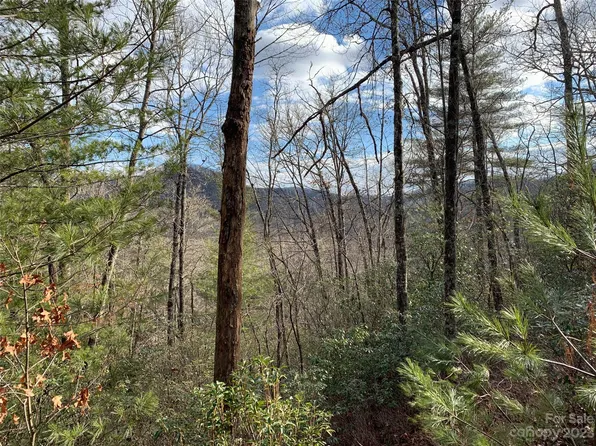 91 Laurel Thicket, Brevard, NC 28712