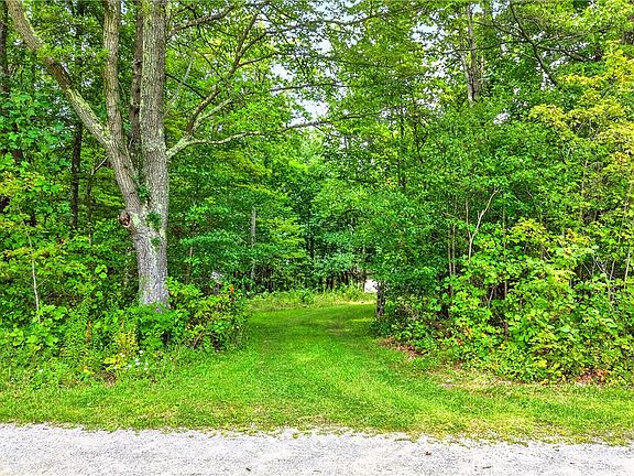 4th image of 126 Roy Stout Rd