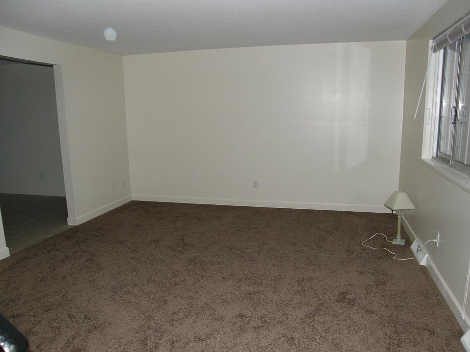 New carpet