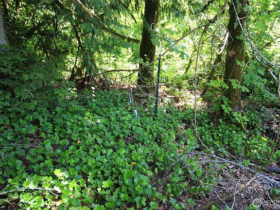 5th image of 70017 NE Old Cascade Highway