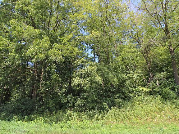 2nd image of 66AC Butternut Rd