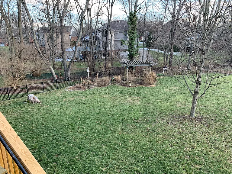 View of the yard from the deck