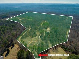 170 Sperin Cabinet Shop Rd, Ball Ground, GA 30107