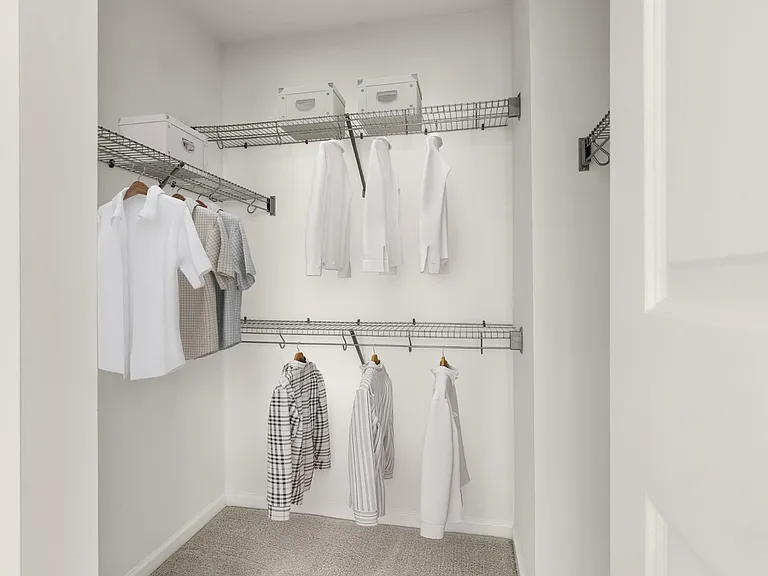 Horizon Wiregrass Ranch - Closet
