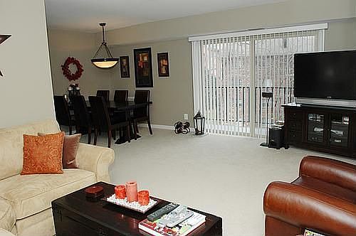 5th image of 12654 Dara Dr APT 302