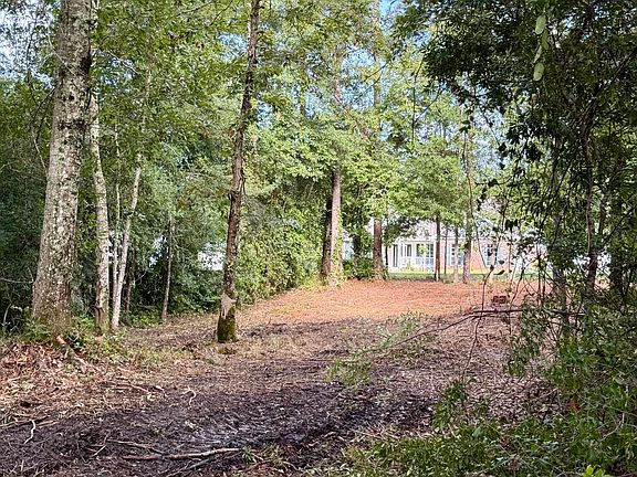 3rd image of 941 W Lakeshore Dr #1538