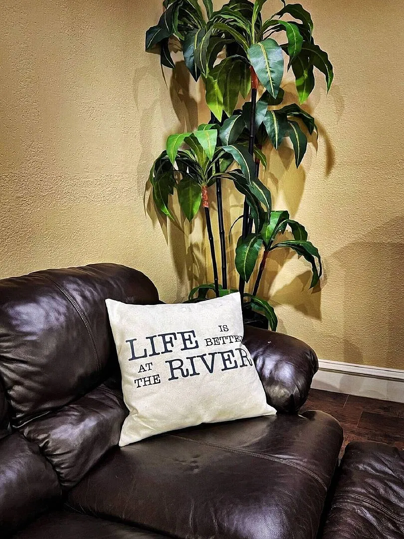 5/3 House On The Brazos River - Summer Living At Its Best — Photo 4