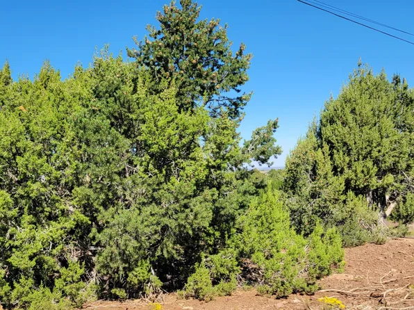 2432 E Fir St, Williams, AZ 86046