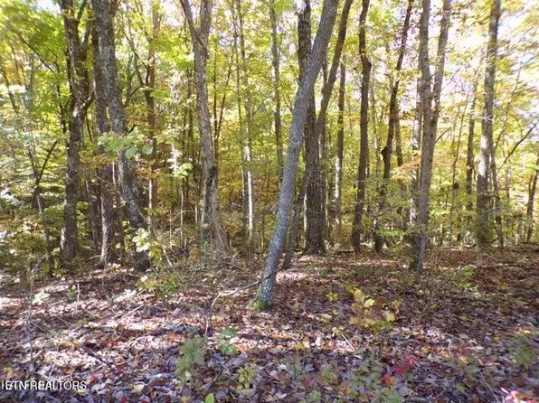 163 Manchester Rd, Crossville, TN 38558