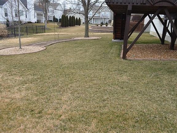 3rd image of 340 Golden Cherry Dr