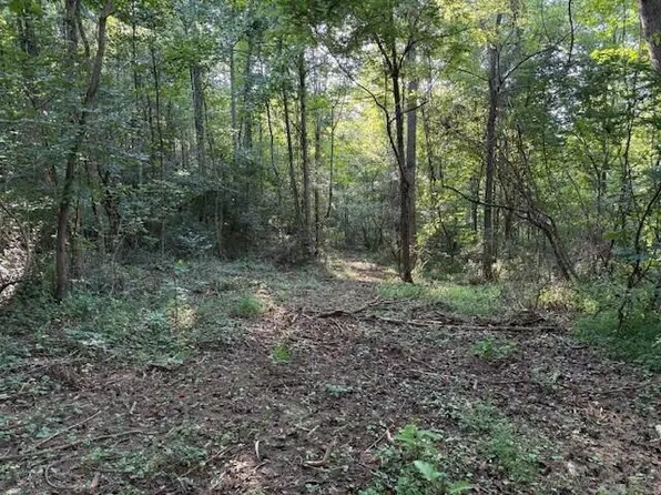LOT 2 Highway 108 Lot 2, Palmer, TN 37365