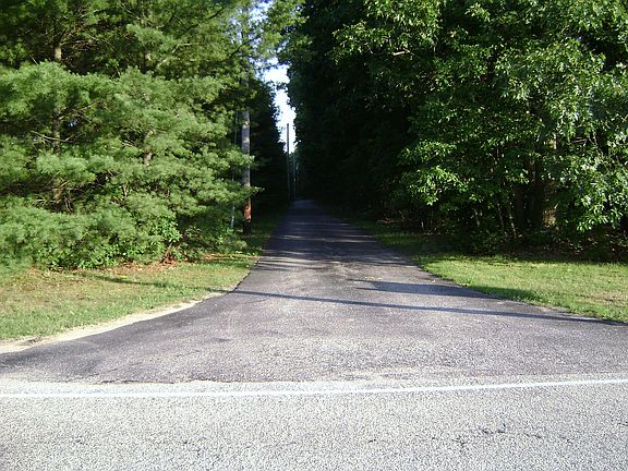 Looking down 700' driveway