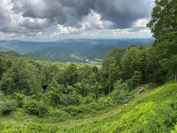 Log Cabin Ln, Roan Mountain, TN 37687