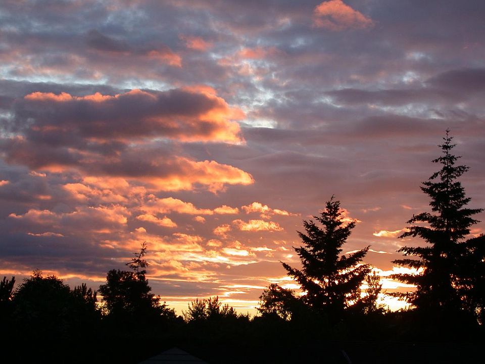 Sunrise from back yard