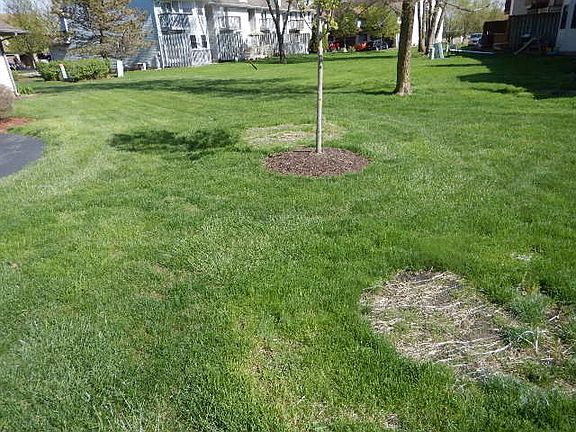 3rd image of 2315 Carnation Dr #2315