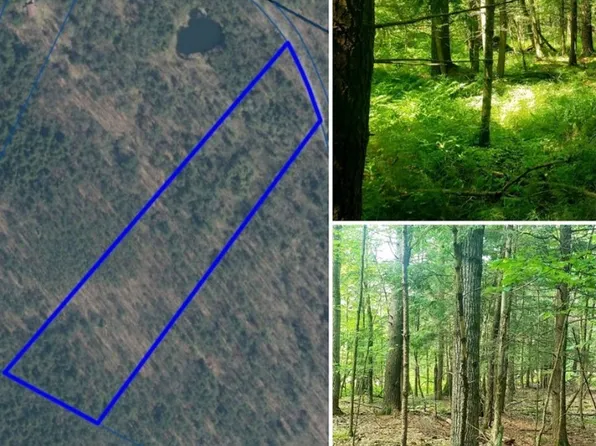 0 Anderson Rd #5, Stamford, NY 12167