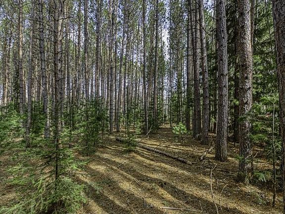 5th image of LOT 2 Curtis Lake Dr