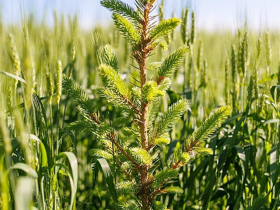 4th image of Bay Settlement Rd
