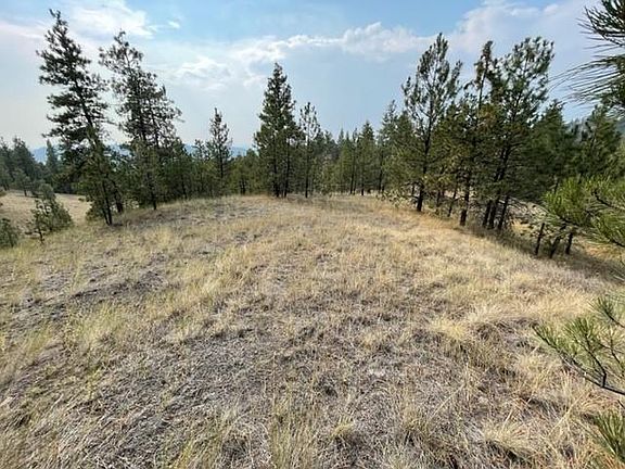 5th image of Mountain Home Ln