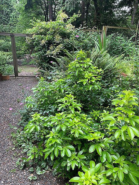 2nd image of 10677 NW Lost Park Dr