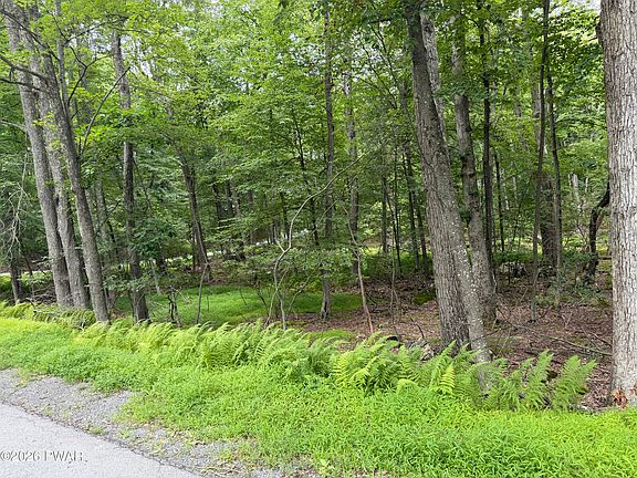 2nd image of LOT Pine Grove Cir