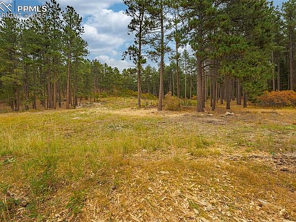 5th image of 14420 S Perry Park Rd