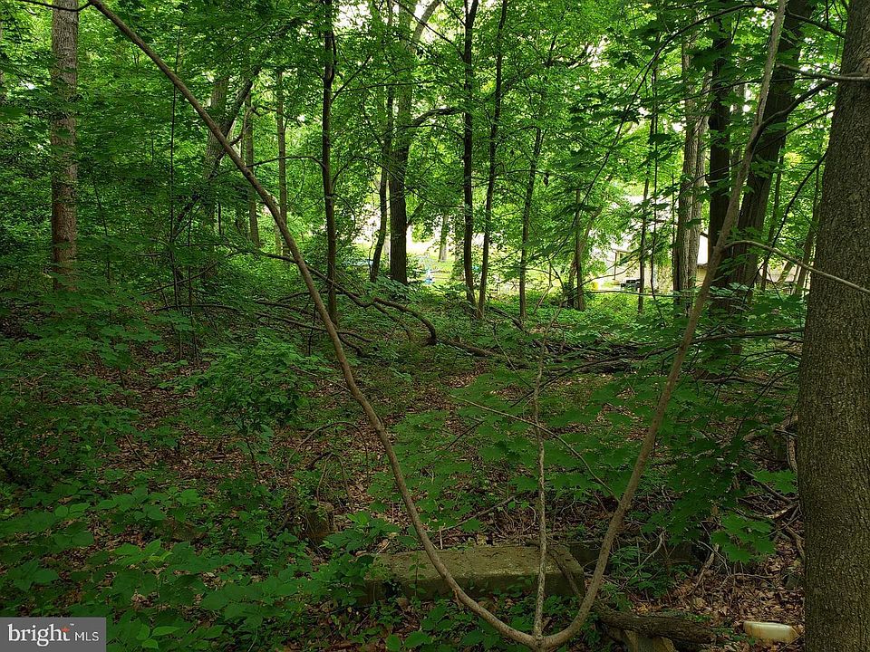 2nd image of 234 Erial Rd
