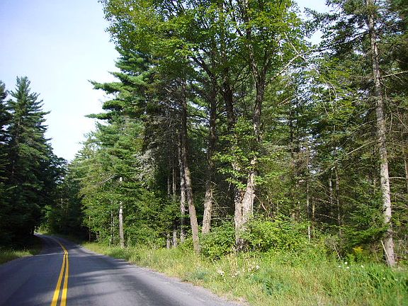 2nd image of 9 Road #Four