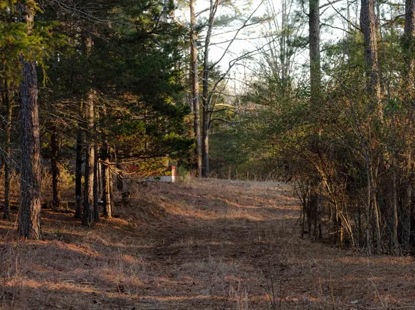 179 Polk Rd #169, Mena, AR 71953