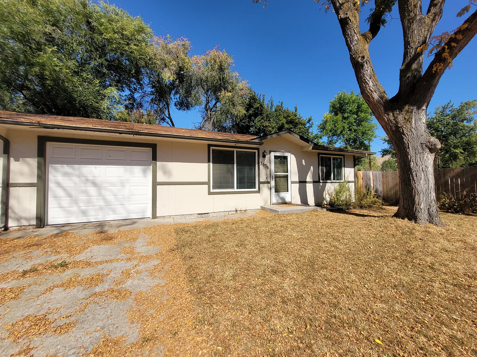 2 bed, 794 sqft, $1,700 — Photo 3