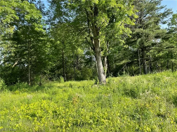 3729 Lynn Rd, Canfield, OH 44406