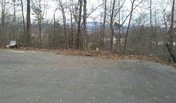 3rd image of Eagle Nest #78