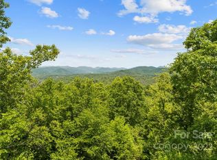 99999 Henry Clay Cv, Mars Hill, NC 28754