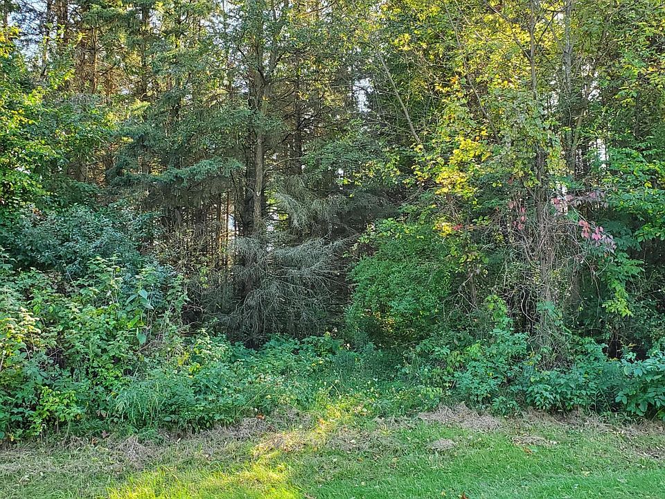 2nd image of 13124 Spruce Ridge Rd