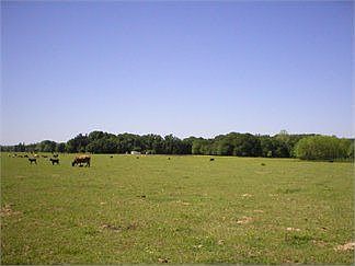 5th image of 2822 S Highway 309