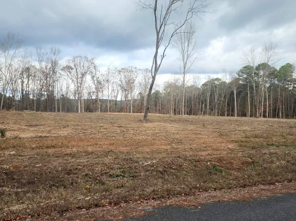 0 The Bluffs Dr, Edgemont, AR 72044