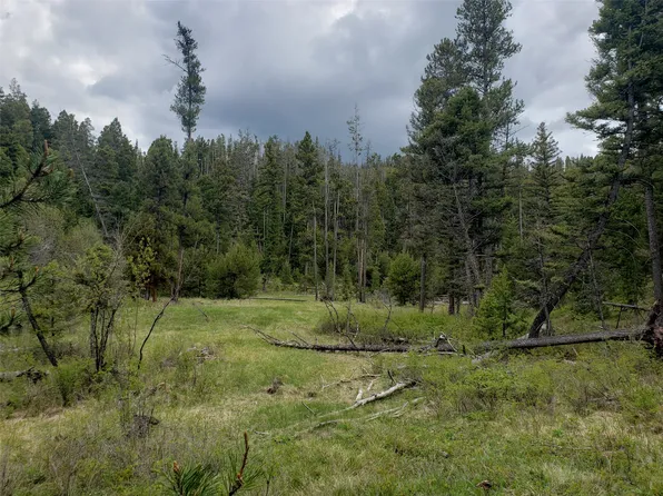 LOT 82 Chimney Lakes Rd, Helmville, MT 59843