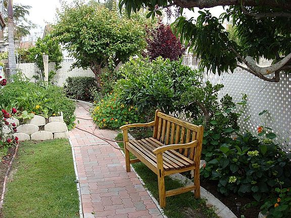 Side Yard 11 Fruit Trees