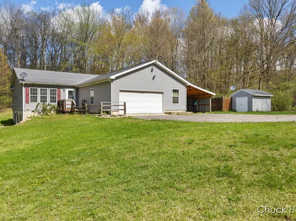 16285 Wildwood Valley Dr NE, Cedar Springs, MI 49319