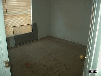 203235X-2.jpg