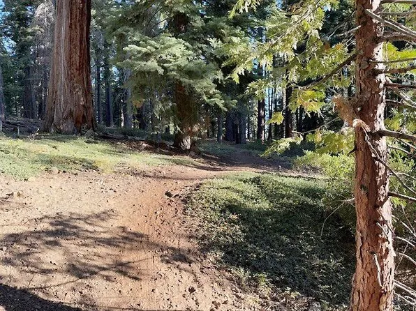 425 Upper Rd, Tahoe City, CA 96145