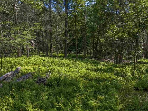 3rd image of Tbd Deer Haven Road