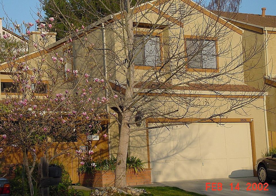 My House