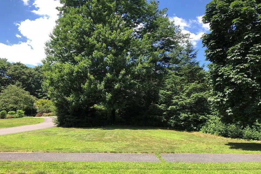 2nd image of 9 Symmes Rd