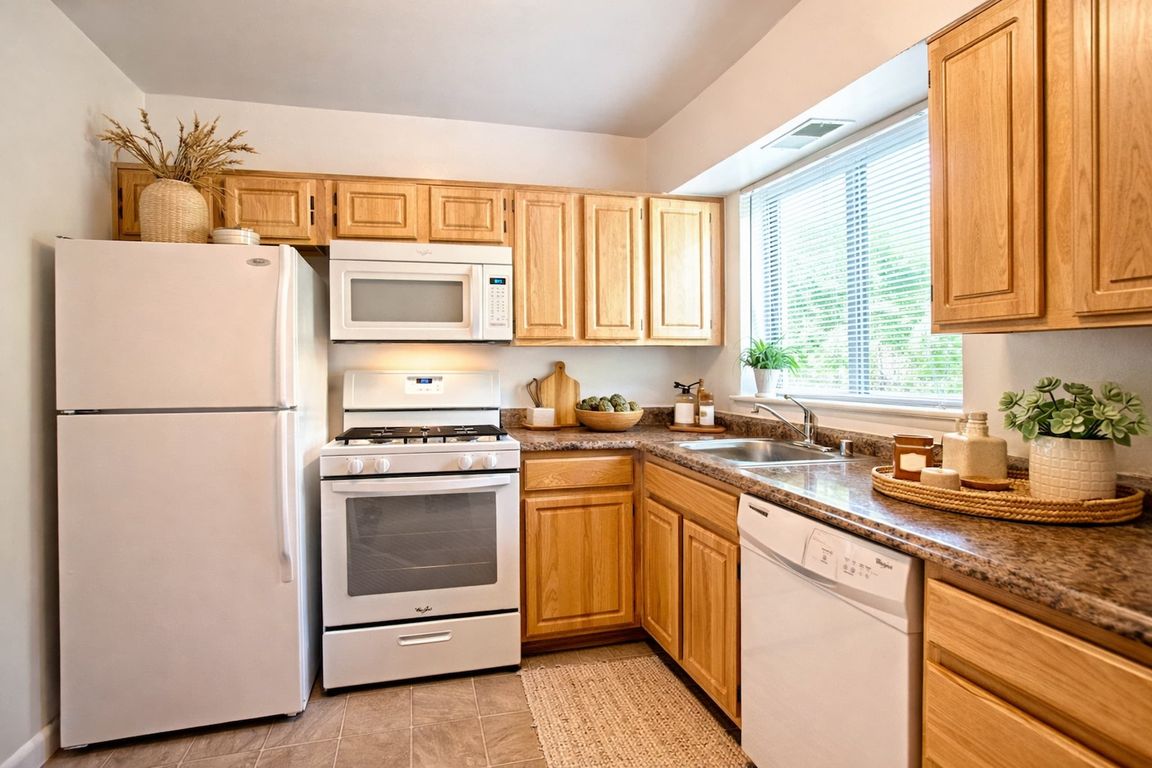 Sunlit Kitchens