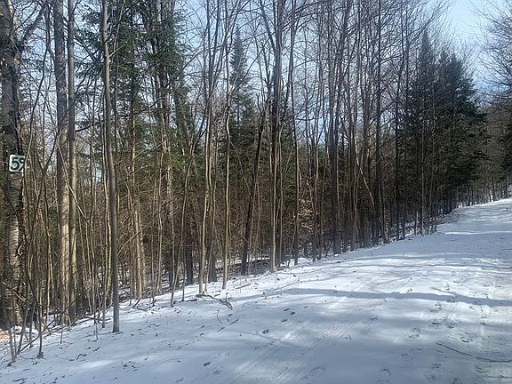 4th image of /saranac Ln