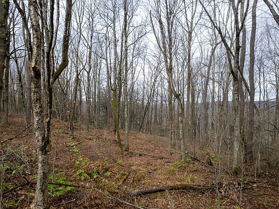 5th image of 0 Hardwood Ln
