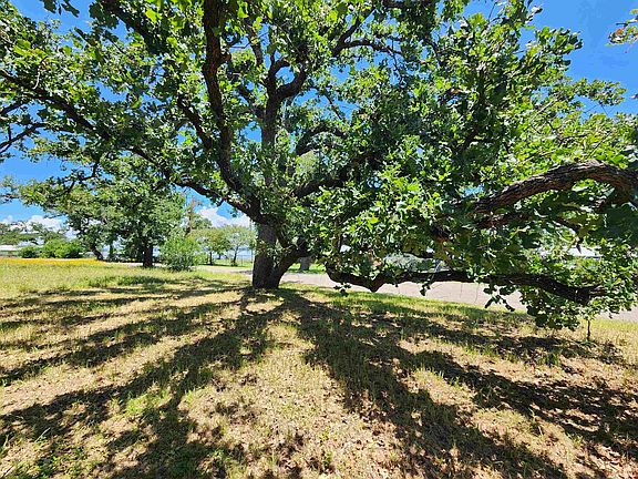 4th image of 1011 Pebble Drive